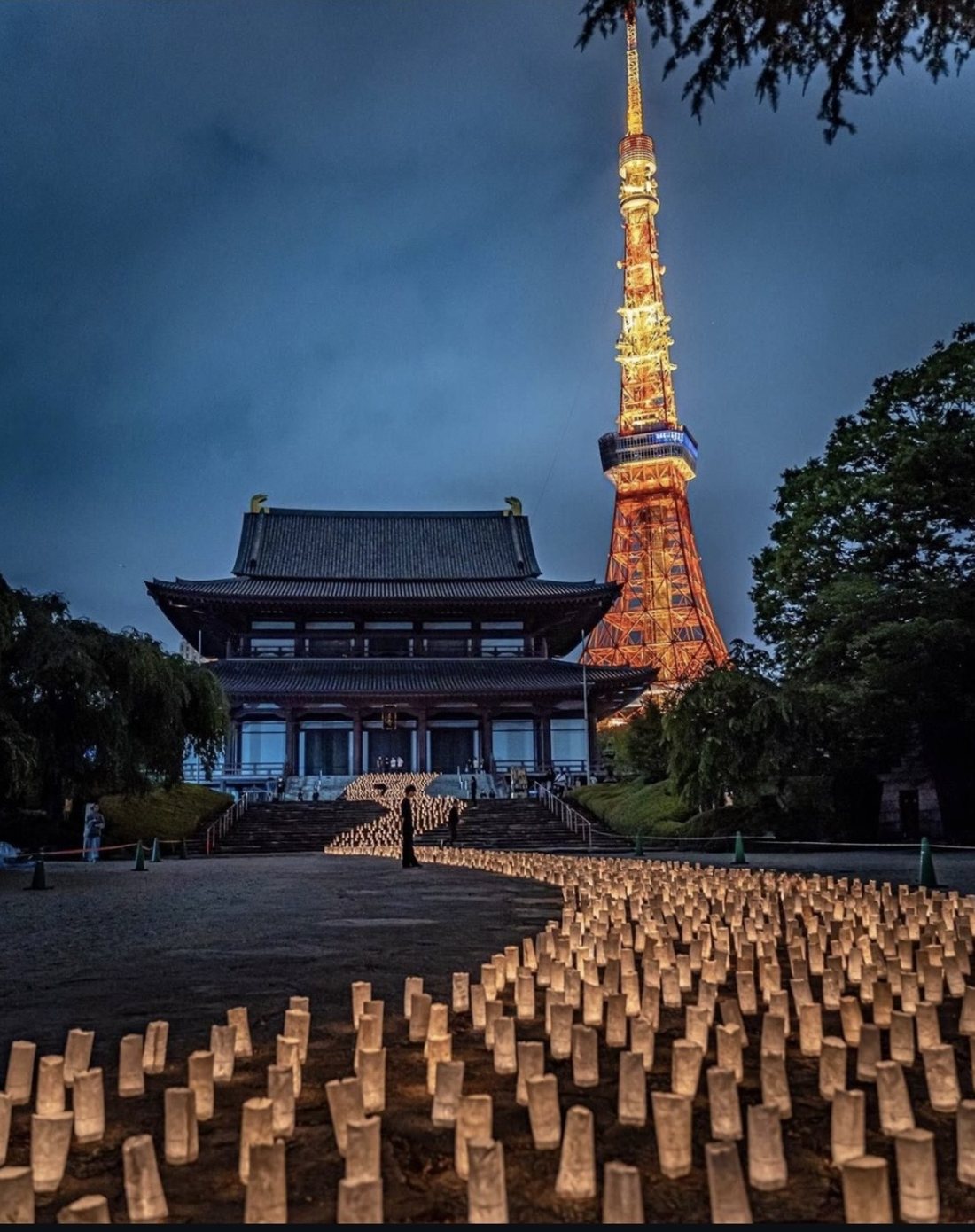 Lanterns glowing before Zojoji Temple and Tokyo Tower during the Tanabata Festival